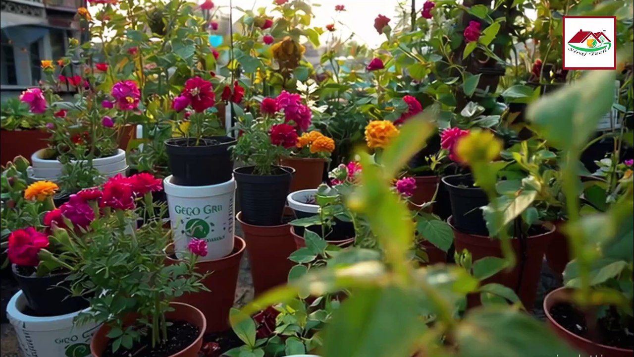 ছাদ বাগানের আধুনিক সমাধান – জিও গ্রো ব্যাগ ব্যবহার করুন আজই!