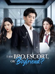 I Am Bro, Escort, or Boyfriend