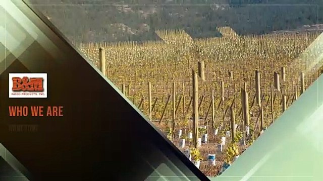 Buy Bulk Wood Fence Posts – Local Deals in Manor, GA