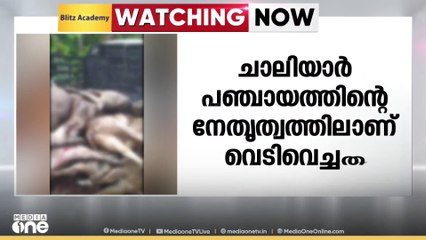 മലപ്പുറം നിലമ്പൂർ വൈലാശ്ശേരിയിൽ ശല്യക്കാരായ കാട്ടുപന്നികളെ വെടിവെച്ച് കൊന്നു