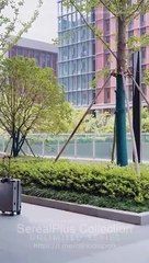 Sweet Summer Serenade Full Chinese Drama