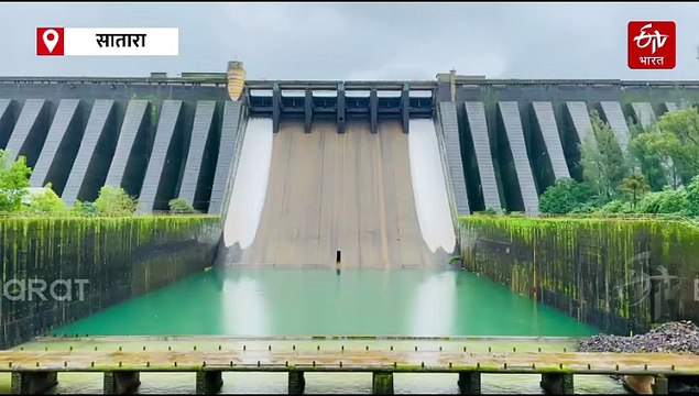 कोयना धरण 71 टक्के भरलं, धरणातून किती पाणी सोडले? जाणून घ्या