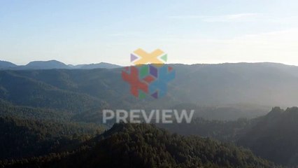 FootageCrate-4K_Aerial_Moutain_Pine_Forest_2-s