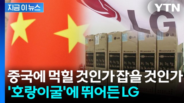 중국과 손잡고 '세계 제패' 노린다... LG전자의 파격적인 승부수 [지금이뉴스] / YTN