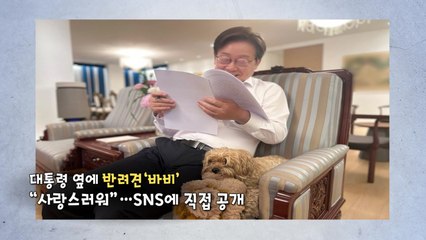 퍼스트 도그 '바비' 때문에 아내와 갈등? [앵커리포트] / YTN