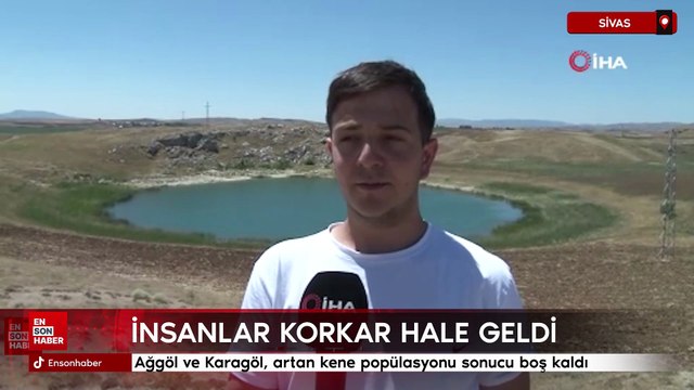 Sivas'ta Ağgöl ve Karagöl, artan kene popülasyonu sonucu boş kaldı