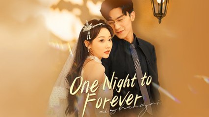 One Night Stand To Forever
