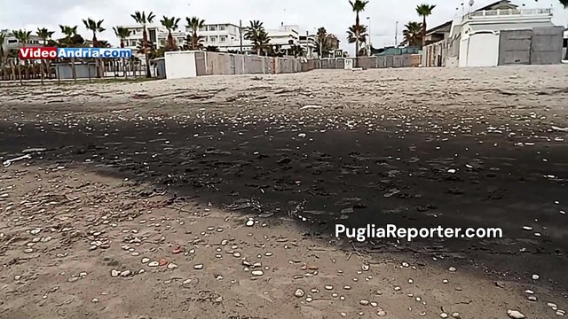 Barletta: sabbia nera vulcanica del Monte Vulture, fenomeno naturale anche a Margherita di Savoia - video