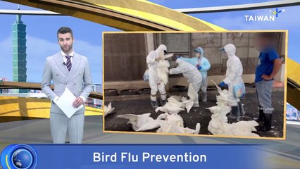 Yunlin Farm Culls 2,600 Geese After Avian Flu Outbreak