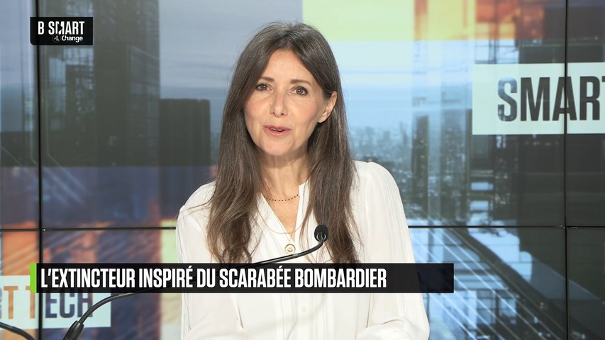 Incendies : lutter grâce aux scarabées
