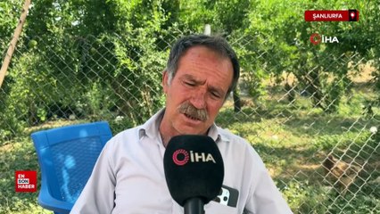 Şanlıurfa'da düğün pastası 60 davetliyi hastanelik etti