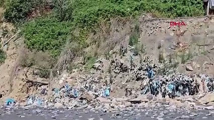 Türkiye'nin maviyle yeşilinin buluştuğu cennet sahilindeki çöp dağları mide bulandırıd