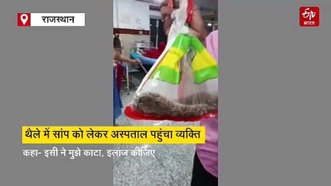 'डॉक्टर साहब, इसी ने मुझे काटा है, इलाज कीजिए' सांप को थैले में बंद कर अस्पताल पहुंचा व्यक्ति