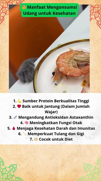 🍤 Manfaat Mengonsumsi Udang untuk Kesehatan