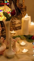 Lady alpha undercover romance