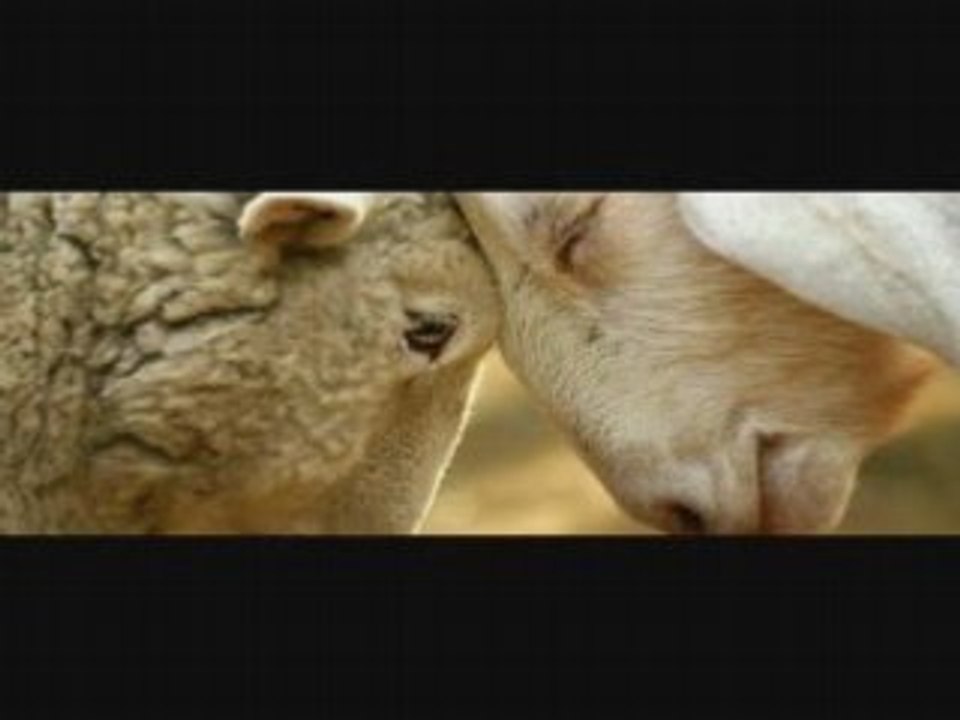 libérons-nous, libérons-les