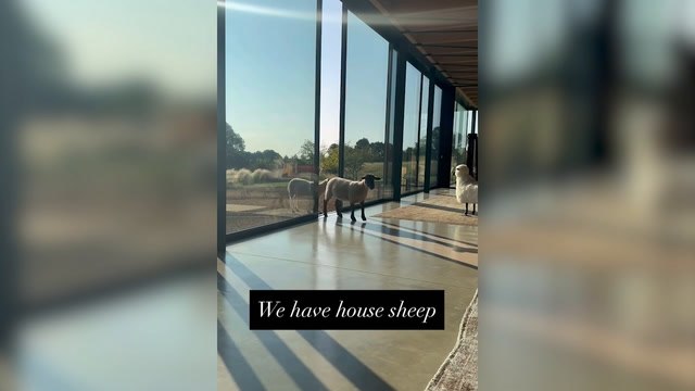 Ellen DeGeneres and Portia de Rossi's house sheep in their Cotswolds home