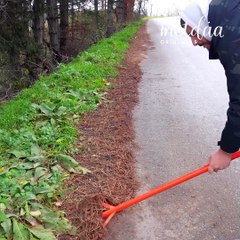 Let's clean & fix this road for a safer drive