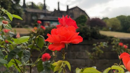 Leeds Craft Gardener crowned Apprentice of the Year