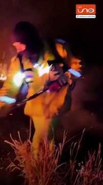 ALERTA EN LA CHIQUITANÍA: 184 FOCOS DE CALOR DETECTADOS EN PREDIOS PRIVADOS