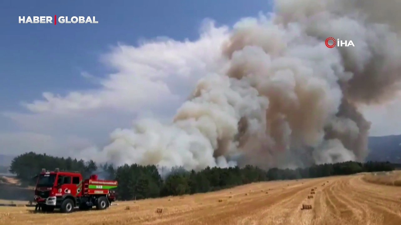 Bolu'da anız yangını ormana sıçradı
