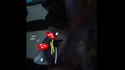 GAY AYMA DICE SUS VERDADES WAAAAAA - Made with Clipchamp