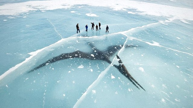 Créature géante découverte congelée et autres incroyables découvertes préhistoriques
