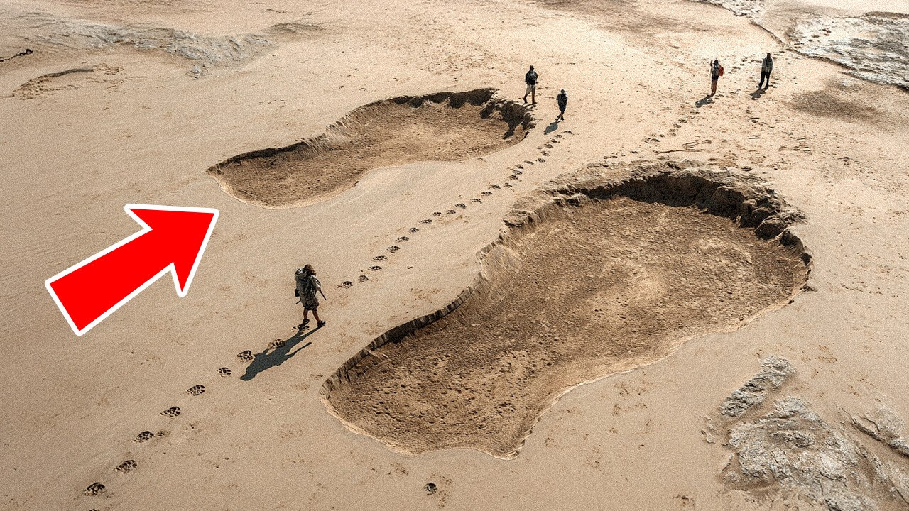 Comment Les Mêmes Empreintes De Dinosaures Se Sont Retrouvées Sur Différents Continents