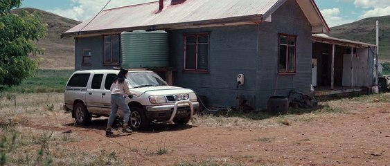 In Vitro HD: A Cattle Farm Nightmare 🐄