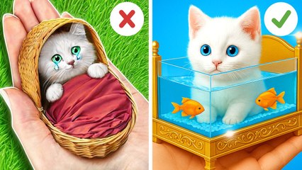 Pauvre chat trouvé dans la poubelle ! ✨ Astuces DIY pour la rendre heureuse, riche et glamour