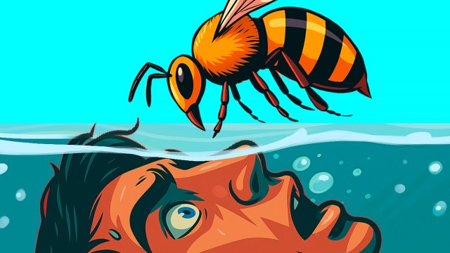 La Pire Chose Que Vous Puissiez Faire Lors D’une Attaque D’abeilles