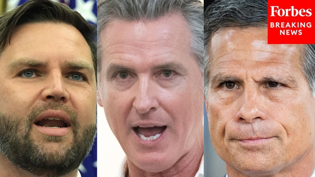 'Newsom Is Sick': Dan Meuser Rips Gavin Newsom Over Comment Mocking J.D. Vance's Disneyland Trip