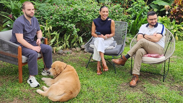 bd-ansiedad-en-mascotas-150725