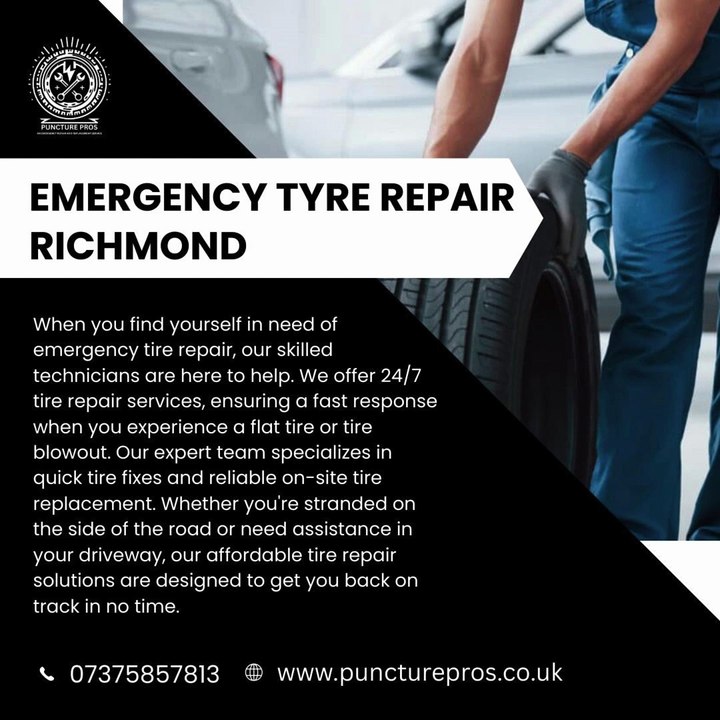 Puncture Pros