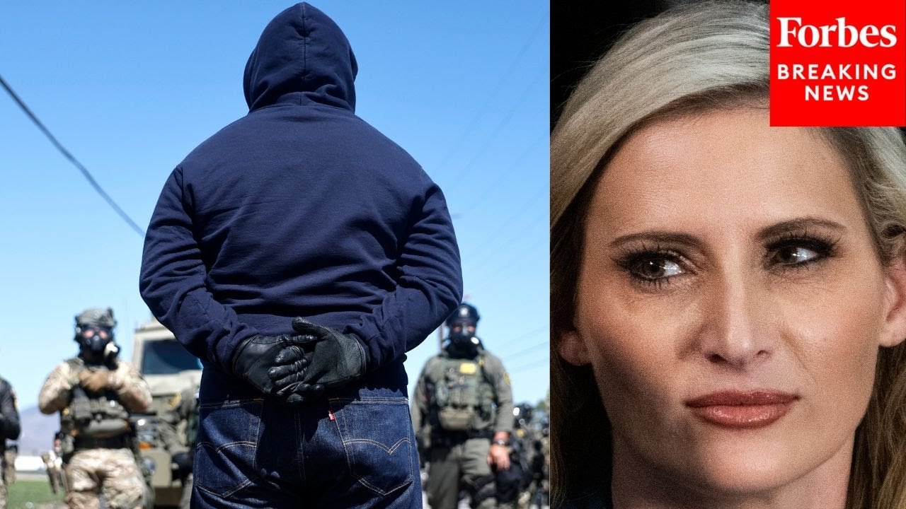 'Full Force Of Federal Law Enforcement Will Find You': Laurel Lee Sends Warning To ICE Assaulters