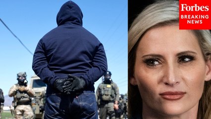 'Full Force Of Federal Law Enforcement Will Find You': Laurel Lee Sends Warning To ICE Assaulters