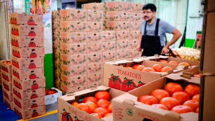 Estados Unidos impone arancel de 17% al jitomate mexicano