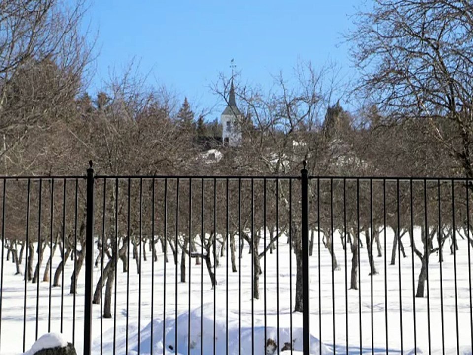 Welcome to the story of those who sought help, only to face mistreatment and harm in addiction treatment centers. Discover the shocking truth behind what should have been a safe haven for healing.