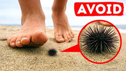 If You Step on This, It Might Be Too Late to Run