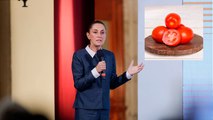 Claudia Sheinbaum muestra desacuerdo con Donald Trump en cuanto al arancel del jitomate