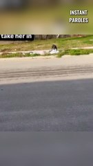 Cet homme apporte de la nourriture à ce chien errant dans la rue