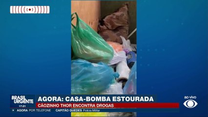Casa bomba: cão da PM encontra drogas