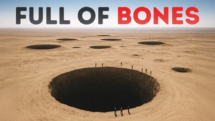 What Did Explorers Really Find in the Gobi Desert?