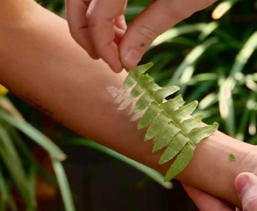 Cool Temporary Tattoo Ideas