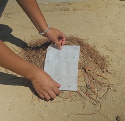 Compétences de survie : Les meilleurs conseils de camping pour les débutants !