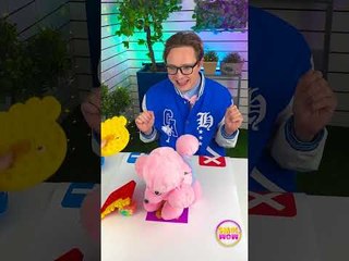 Playing with a humble boy! DIY Pop Iy Fidget Trading Game