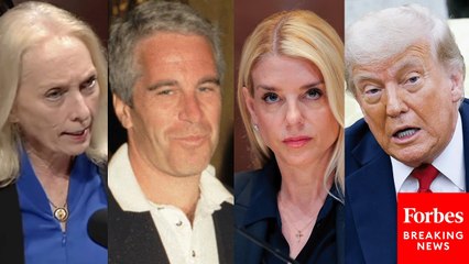 'Why Would They Try To Prevent The Truth About Epstein's Abuse... From Coming Out?': Mary Gay Scanlon