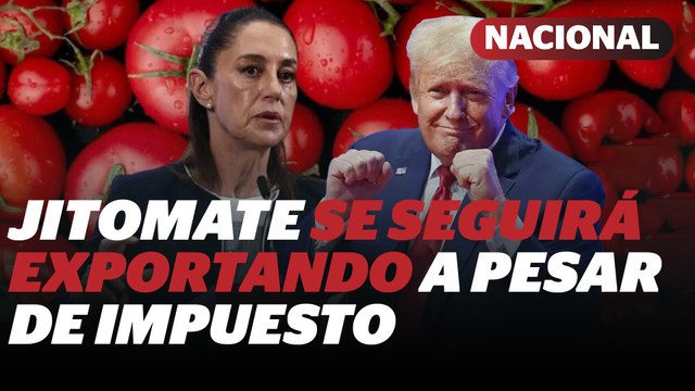 Sheinbaum rechaza arancel de EU al jitomate; exportaciones continuarán | Reporte Indigo