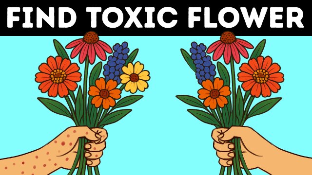 16 Riddles That Will Train You to See Hidden Details