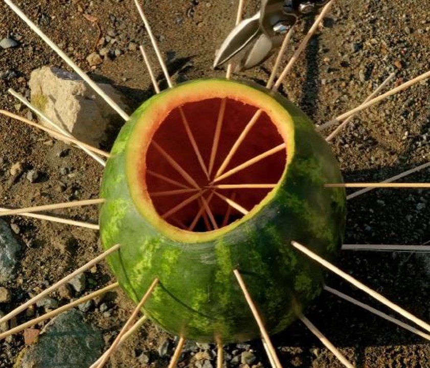 Weirdly Brilliant Watermelon Hack